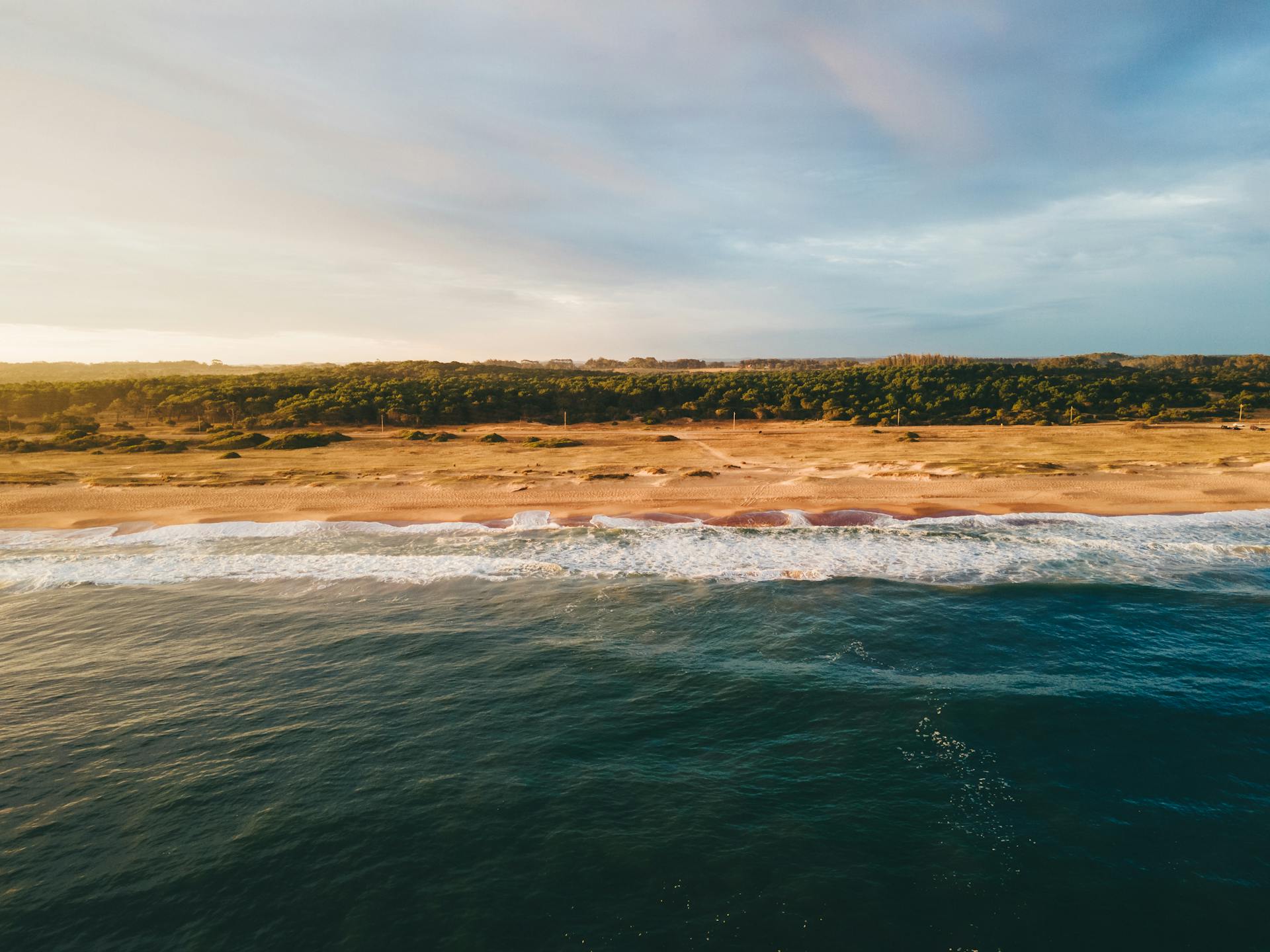 Vigga Propiedades